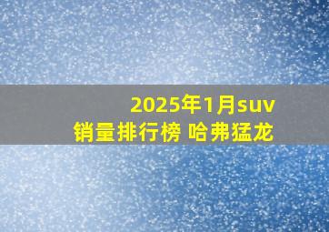 2025年1月suv销量排行榜 哈弗猛龙